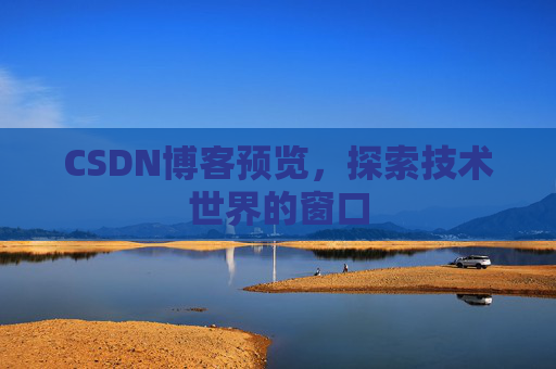 CSDN博客预览，探索技术世界的窗口
