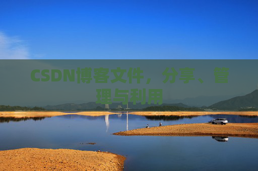 CSDN博客文件，分享、管理与利用